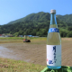 夏季限定酒「月不見の池 夏吟醸」&「shubonne」発売のご案内