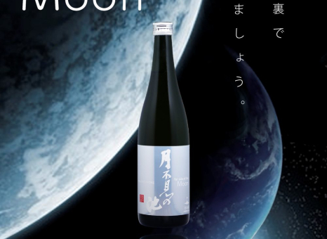 far side of the Moon -月の裏- 発売しました